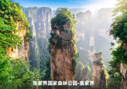 a8a9d6f5fd00551503c6d9f4ae9bc07e.jpg a8a9d6f5fd00551503c6d9f4ae9bc07e.jpg