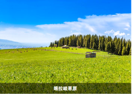 图片.png 图片.png