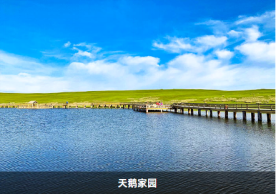 图片.png 图片.png