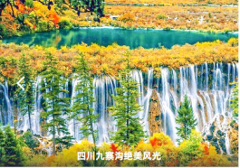 图片.png 图片.png