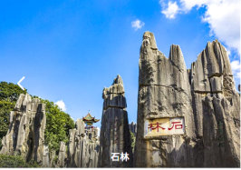 图片.png 图片.png