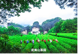 图片.png 图片.png